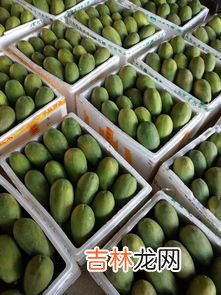 红心木瓜禁忌,木瓜的禁忌