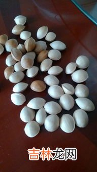白果仁怎么吃,白果仁怎么吃