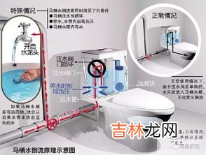 洁厕净对人体有害吗,洁厕灵的气味有毒吗