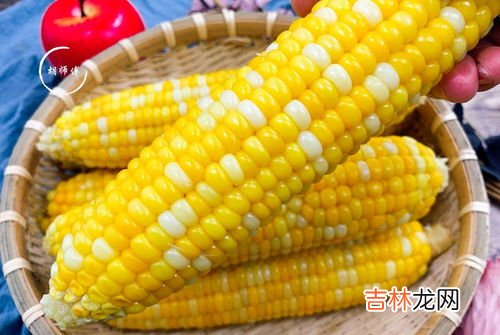 鲜玉米怎么保存可以时间久一点,玉米怎么保存新鲜时间长