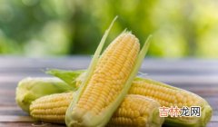 鲜玉米怎么保存可以时间久一点,玉米怎么保存新鲜时间长