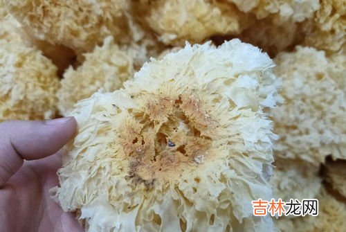 硫磺酸有毒吗,牛磺酸有没有毒性?