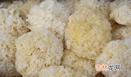 硫磺酸有毒吗,牛磺酸有没有毒性?