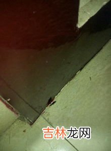 聚丙烯有毒有害吗,聚丙烯酰胺对人体有害吗?