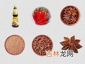 大料能重复使用吗,炖红烧肉放的大料还能下次再用吗