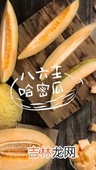 哈密瓜是热性还是凉性的,哈密瓜是凉性水果吗