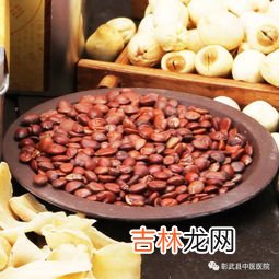 酸枣仁相克食物,酸枣仁与什么食物相克 酸枣仁有什么功效