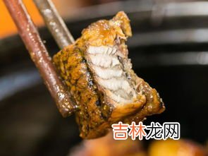 黄鳝是热性还是凉性,黄膳是凉性还是热性食物?
