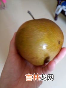 佛手瓜需要削皮吃吗,佛手瓜需要削皮吗