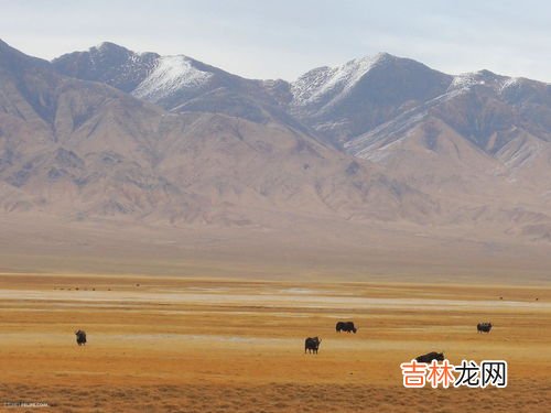 巴音郭楞蒙古自治州有几个县市,巴州有几个市几个县
