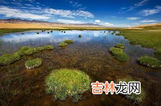 巴音郭楞蒙古自治州有几个县市,巴州有几个市几个县