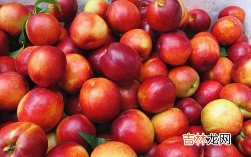 桃子热量,桃子热量高不高