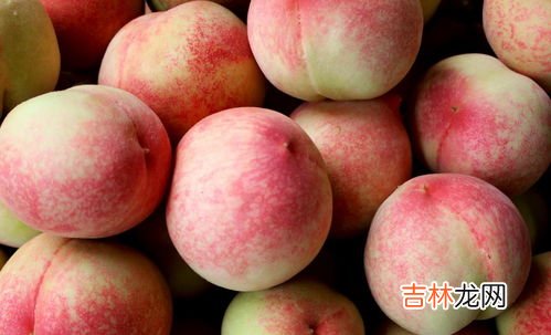 桃子热量,桃子热量高不高