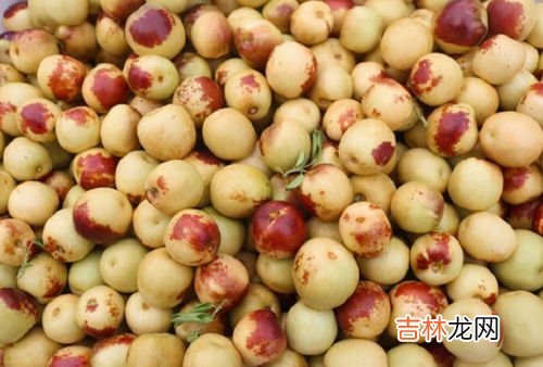 冬枣是热性还是寒性水果,冬枣可以和红提一起吃吗 冬枣不能与什么同吃