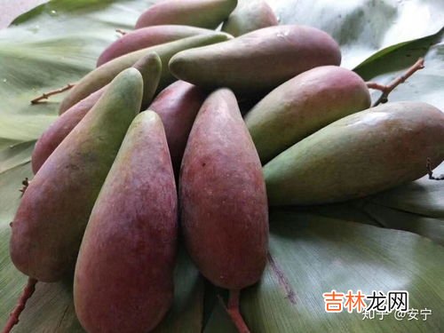 芒果和香蕉能一起吃吗,香蕉和芒果可以一起吃吗-日常须知