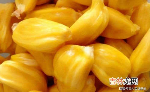 菠萝蜜能暴晒吗,菠萝蜜怕热吗