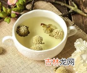 绿萝花茶的功效和作用,绿萝花泡茶的功效与作用 竟然这么多的好处