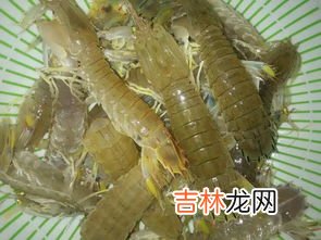 虾和葡萄一起吃了怎么办,葡萄和虾能一起吃吗