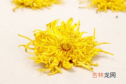 金花葵什么人不能喝,菜芙蓉花什么人不能吃？