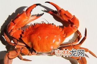 螃蟹和冬瓜能不能一起吃,方瓜可以和螃蟹一起吃吗