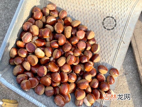 板栗怎么去皮,板栗怎么去皮最快方法