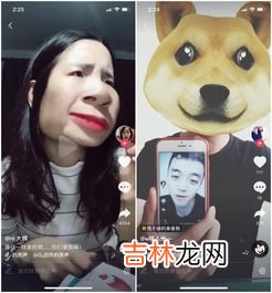 抖音里fpy和fyp什么意思,抖音里的fyp什么梗?