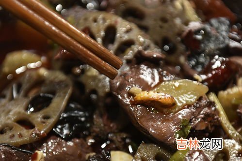 蘑菇里的白虫是蛆吗,松蘑为什么有白色蛆虫
