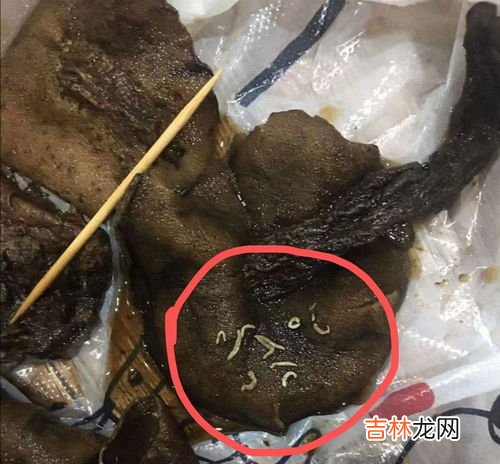 蘑菇里的白虫是蛆吗,松蘑为什么有白色蛆虫