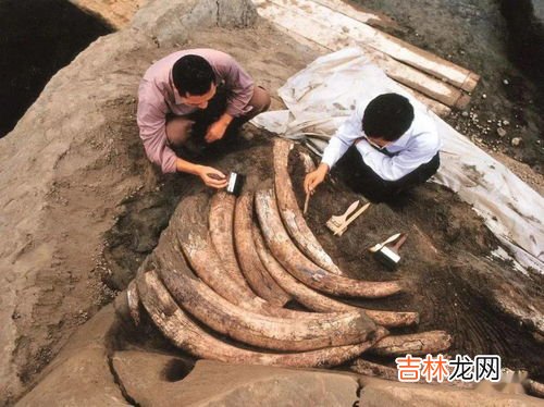金沙遗址的意义和价值,金沙遗址和三星堆遗址是干什么的?
