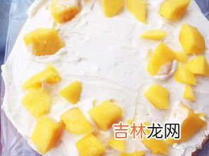 生奶油是什么东西,奶油分为哪三种，有何区别