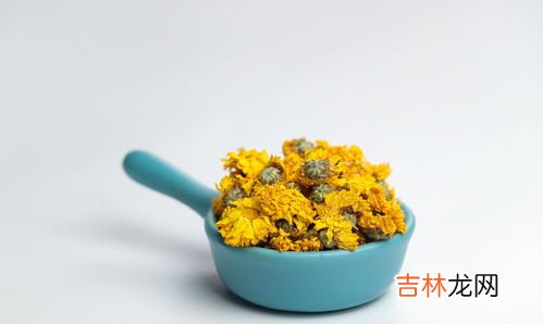 菊花上火还是去火,菊花茶降火还是上火