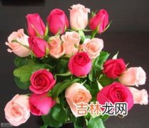 鲜花怎么保鲜,鲜花应该怎么保存