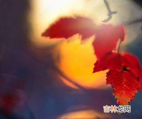 秋分的三候是什么,秋分三候分别是什么