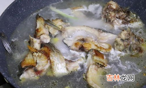 鲫鱼汤放冷水还是开水,鲫鱼汤用热水还是冷水