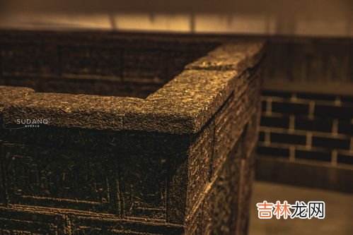 茶叶沉入水底的原因,茶叶为什么可以沉在水底 而树叶却是漂浮水面