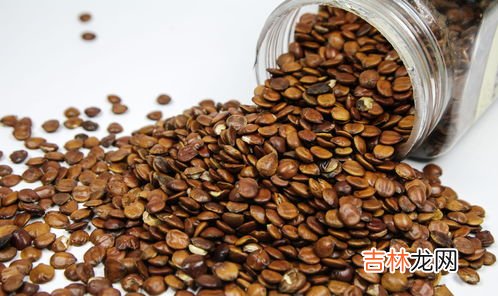 骆驼鲜奶的正确食用方法,骆驼奶子的使用方法？