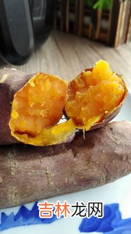 烤红薯220度烤多久,红薯烤箱220度烤多久