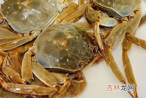 如何保存螃蟹,如何储存螃蟹?