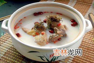 鸽子汤禁忌放什么相克,鸽子不可以和什么一起吃