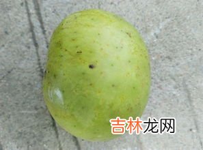 青杠树果实能吃吗,青杠树的果实有毒吗?