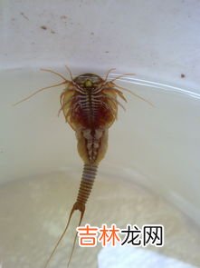 什么是生物,什么是生物？