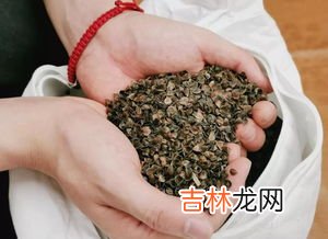 荞麦皮只晒不洗可以吗,枕头里面的芥麦皮需要定期清洗或者晒吗？应该多久弄一次？应该怎么弄？