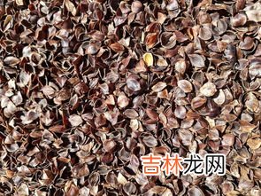 荞麦皮只晒不洗可以吗,枕头里面的芥麦皮需要定期清洗或者晒吗？应该多久弄一次？应该怎么弄？