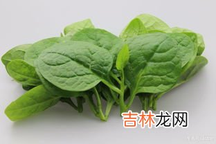 吃木耳菜的禁忌,木耳菜不能和什么一起吃&#047;同吃