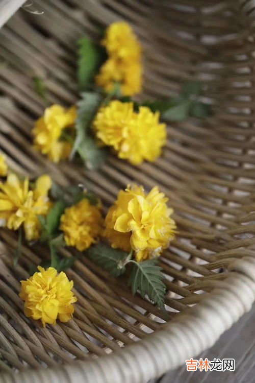 人间富贵花是什么意思,什么叫人间富贵花