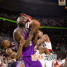 篮球正确防守动作,篮球防守基本姿势有哪些?