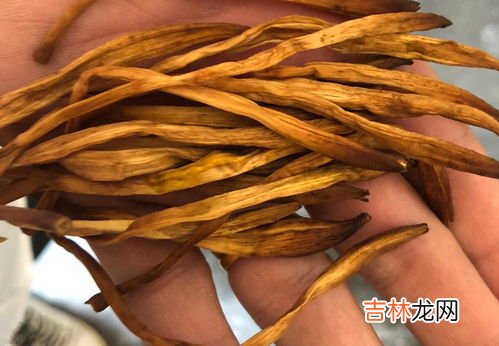 黄花菜有毒吗,黄花菜中有毒物质是什么?