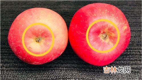 怎么挑苹果,苹果如何挑选