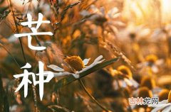 芒种养生知识 芒种的名字是怎么来的