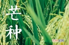 芒种节气的特点和风俗 芒种节气的特点是什么